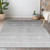 10' X 14' Gray And Light Gray Ombre Washable Indoor Outdoor Area Rug