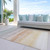 10' X 14' Coral Striped Washable Indoor Outdoor Area Rug