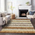 9' X 12' Brown Beige And Ivory Striped Washable Indoor Outdoor Area Rug Transitional Style - Brown, Beige, Ivory Color