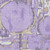 8' X 10' Lavender Lilac And Purple Geometric Washable Indoor Outdoor Area Rug