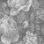 9' X 12' Gray And Charcoal Floral Washable Indoor Outdoor Area Rug Transitional Style - Gray, Silver Color