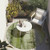 8' Round Sage Round Washable Non Skid Indoor Outdoor Area Rug