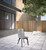 Set of Two 18" Silver Solid Wood Outdoor Dining Chair