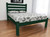 Dark Green Solid Wood Queen Bed Frame Home Accent