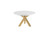 48" White and Gold Wood and Metal Cross Leg Base Round Top Dining Table