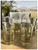 Set of Four Clear and Green Palm Tree Acrylic Highball Glasses