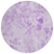8' Lavender And Purple Round Floral Washable Indoor Outdoor Area Rug