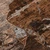 9' X 12' Brown And Gray Floral Washable Indoor Outdoor Area Rug - Brown, Gray