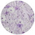 8' Lavender And Lilac Round Floral Washable Indoor Outdoor Area Rug - 880016728309