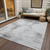 10' X 14' Silver Gray And Pewter Abstract Washable Indoor Outdoor Area Rug