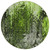 8' Green And Lime Green Round Abstract Washable Indoor Outdoor Area Rug