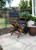 23" Navy Blue and Brown Solid Wood Indoor Outdoor Director Chair with Navy Blue Cushion