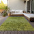 8' X 10' Olive Green And Fern Green Floral Washable Indoor Outdoor Area Rug - Olive Green, Fern Green