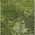 8' X 10' Olive Green And Sage Abstract Washable Indoor Outdoor Area Rug