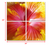 Homeroots Decor 24" Multicolor Canvas 4 Panels Hibiscus Photo, Multicolor, 24 Inch