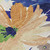 10' X 14' Navy Blue And Beige Floral Washable Indoor Outdoor Area Rug