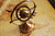 Armillary Brass with Bright Annealed Finish - 4512822909813