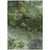 10' X 14' Green And Ivory Abstract Washable Indoor Outdoor Area Rug - Green, Ivory