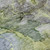 8' X 10' Olive Green And Gray Abstract Washable Indoor Outdoor Area Rug