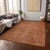 3' X 5' Copper Brown And Beige Abstract Washable Indoor Outdoor Area Rug