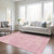 3' X 5' Pink Washable Indoor Outdoor Area Rug
