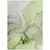 5' X 8' Green Abstract Washable Non Skid Indoor Outdoor Area Rug Transitional Style - Green Color