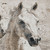 3' X 5' Ivory And Gray Horse Washable Indoor Outdoor Area Rug