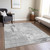 3' X 5' Gray And Off White Abstract Washable Indoor Outdoor Area Rug