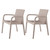 Set of Two Taupe Faux Rattan Heavy Duty Plastic Outdoor Stacking Arm Chairs - 608219079154