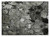 2' X 3' Gray Abstract Washable Indoor Outdoor Area Rug - Gray