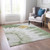 5' X 8' Artichoke Green And Olive Green Abstract Washable Indoor Outdoor Area Rug - Artichoke Green, Olive Green