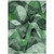 5' X 8' Fern Green Abstract Washable Non Skid Indoor Outdoor Area Rug