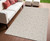 4' X 6' Gray And Beige Geometric Indoor Outdoor Area Rug