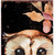 42" Black Orange And Tan Solid Wood Happy Halloween And Fall Owl Reversible Garden Stake