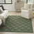 4' X 6' Dark Green And Light Green Trellis Indoor Outdoor Area Rug
