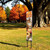 42" Brown And Orange Solid Wood Autumn Squirrel Garden Stake
