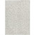 3' X 5' Ivory And Brown Polka Dot Washable Indoor Outdoor Area Rug