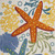6' X 9' Blue Yellow And Orange Starfish Indoor Outdoor Area Rug