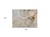2' X 3' Beige Abstract Washable Non Skid Indoor Outdoor Area Rug - Beige