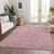 3' X 5' Blush Pink And Ivory Floral Washable Indoor Outdoor Area Rug - 608219129286