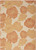4' X 6' Coral And Beige Floral Indoor Outdoor Area Rug