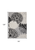8' X 11' Black And White Floral Indoor Outdoor Area Rug
