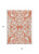 5' X 8' Coral And Ivory Damask Washable Indoor Outdoor Area Rug - 880016402704