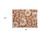 2' X 3' Rust and Ivory Floral Washable Non Skid Indoor Outdoor Area Rug