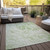 3' X 5' Sage And Ivory Abstract Washable Indoor Outdoor Area Rug - Sage, Ivory