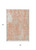 5' X 8' Coral And Ivory Abstract Washable Indoor Outdoor Area Rug - 880016809268