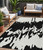 5' X 8' Black And Ivory Abstract Washable Indoor Outdoor Area Rug Transitional Style - Black, Ivory Color