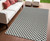 4' X 6' Black and White Geometric Distressed Indoor Outdoor Area Rug