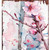 36" White and Pink Solid Wood Birds Porch Sign