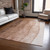 3' X 5' Brown Beige And Chocolate Ombre Washable Indoor Outdoor Area Rug